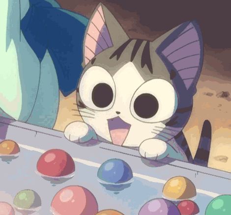 Anime de gatinho 