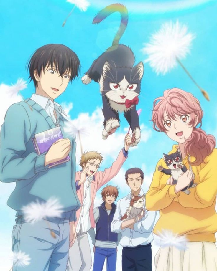 Anime de gatinhos