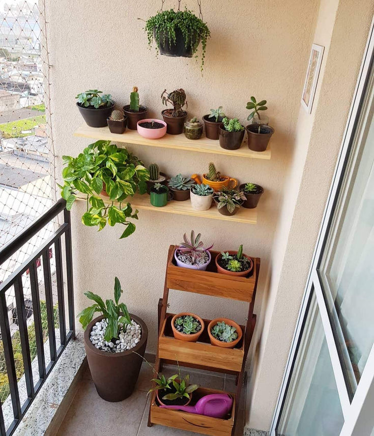 Flores em casa